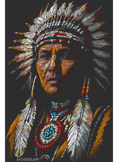 2746 Unisex Black Hoddie Apache Vision