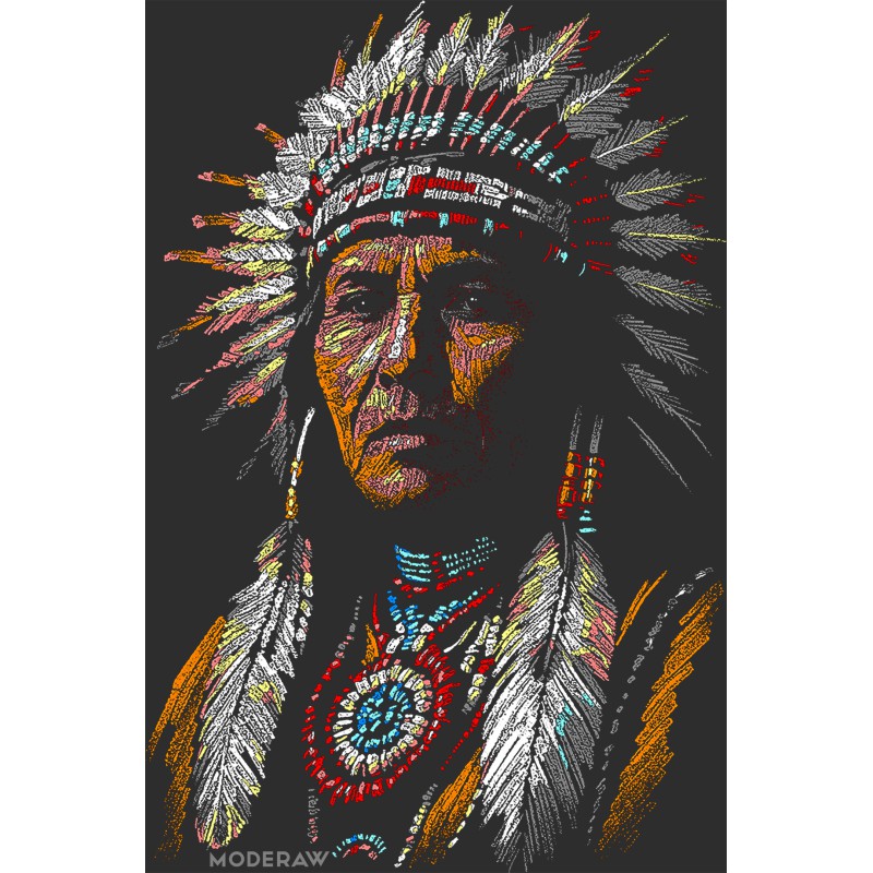 2746 Unisex Black Hoddie Apache Vision