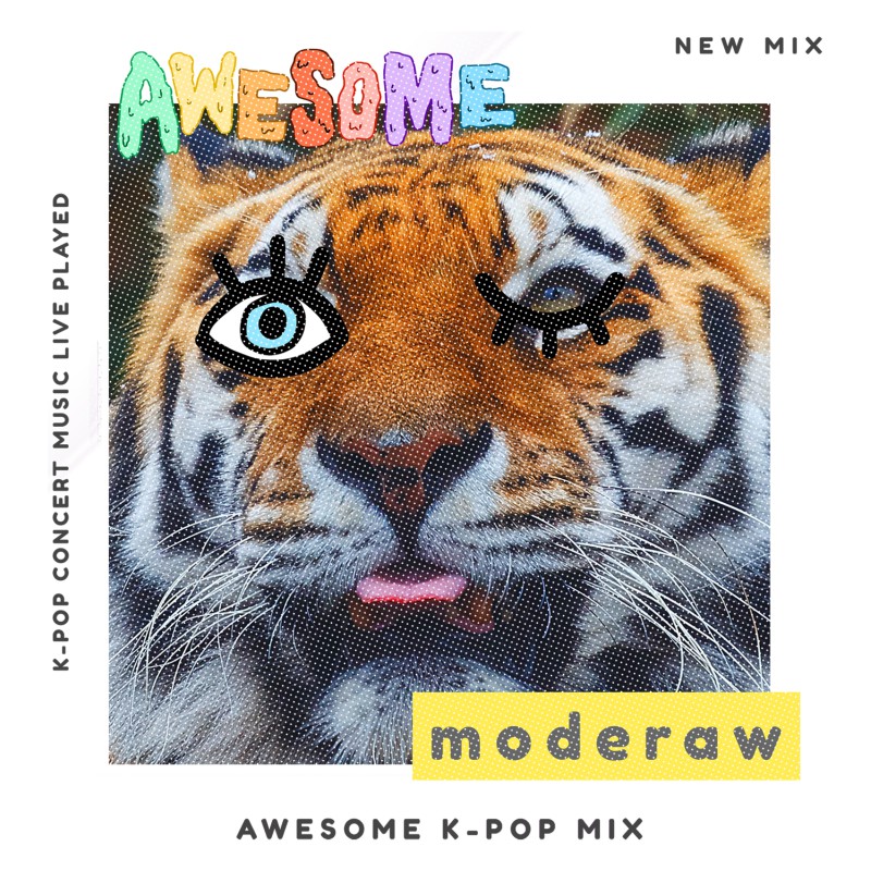 00872  K - Pop  Moderaw  Organic Oversized T-shirt  