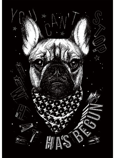 1110  Bad Frenchy  Moderaw  Organic Oversized T-shirt  