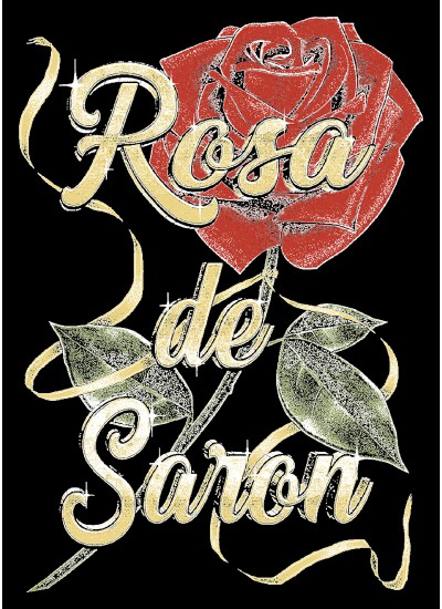 1561 Rosa De Saron T-shirt  Moderaw  