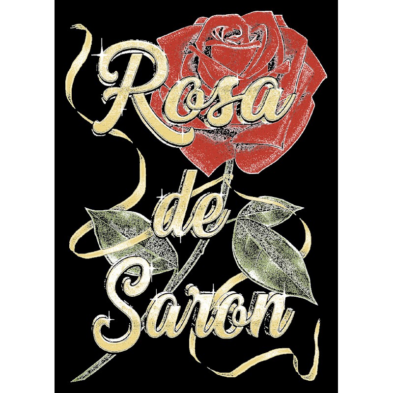 1561 Rosa De Saron T-shirt  Moderaw  